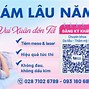 Da Liễu Thẩm Mỹ Tiếng Anh Là Gì