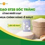 Gạo St25 Có Mấy Loại