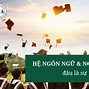 Hệ Ngôn Ngữ Đài Loan Bao Giờ Mở Được Cửa Hàng